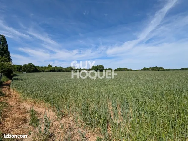 Terrain Chauvigny