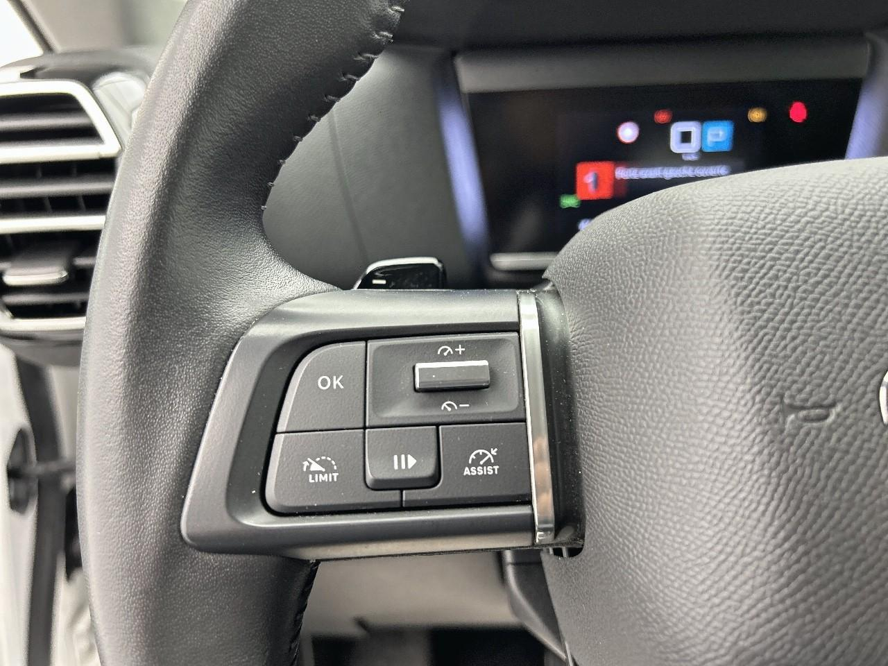 Citroën C4 bluehdi 130 eat8 plus — photo 24