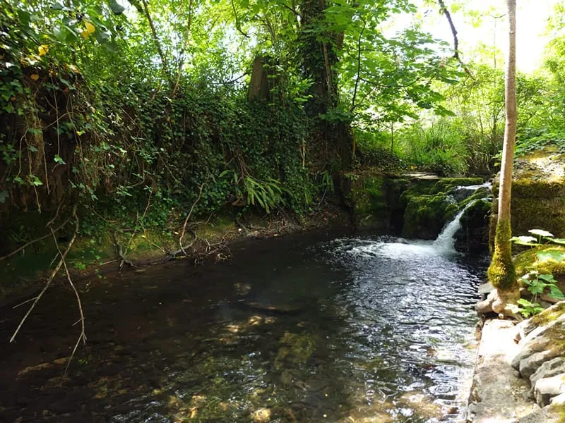 Photo 13
