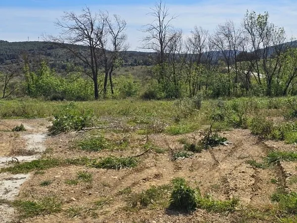 Terrain 300 m²