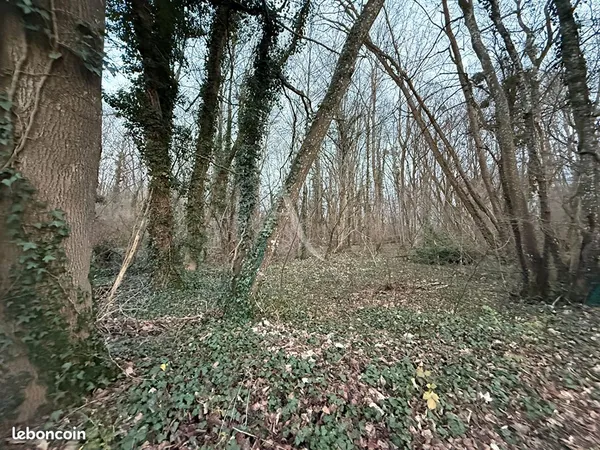 Terrain 3008 m² LE CHATELET EN BRIE