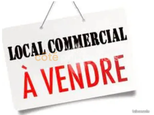 Local Professionnel - 340m2