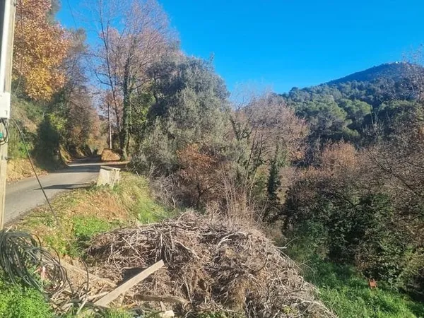 Terrain 2920 m²