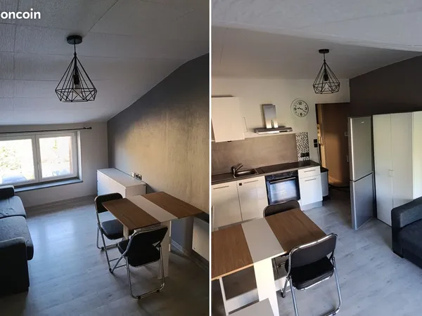 Studio rénové centre ville