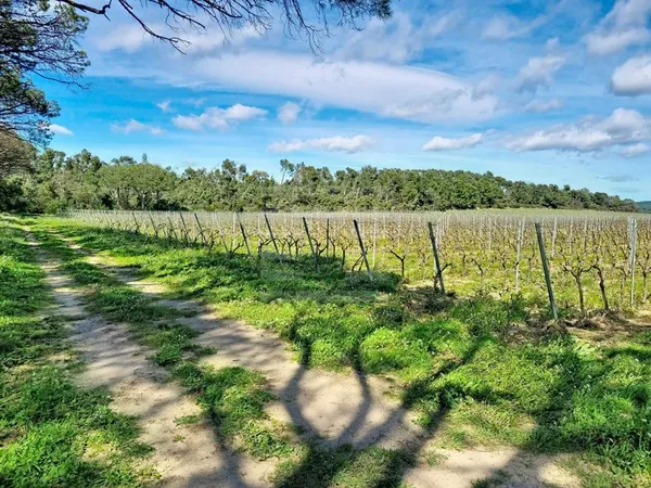 Propriété viticole 5 pièces 150 m²