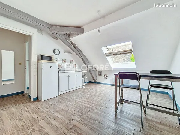 Appartement 1 pièce 26 m²
