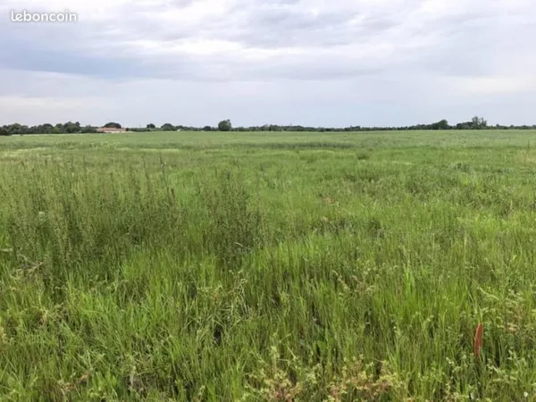 Terrain 790 m²