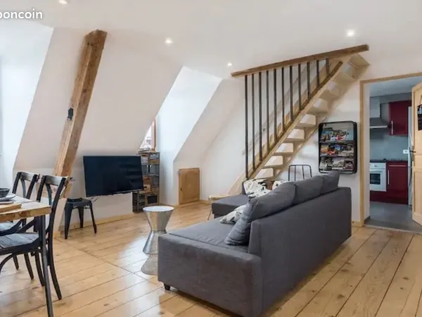 F3 duplex centre ville colmar