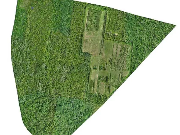 Forêt à Vendre 163 ha 55a 97ca Seine et Marne (77) Île-de-France