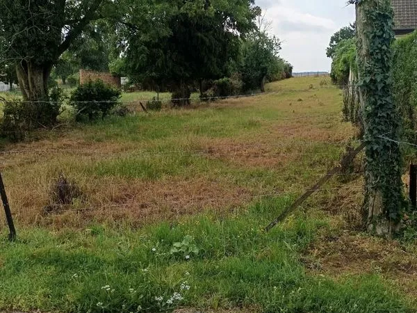 Terrain à bâtir