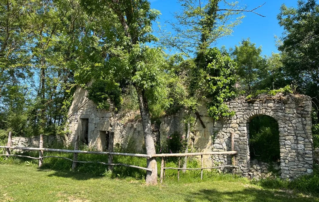 Photo 2