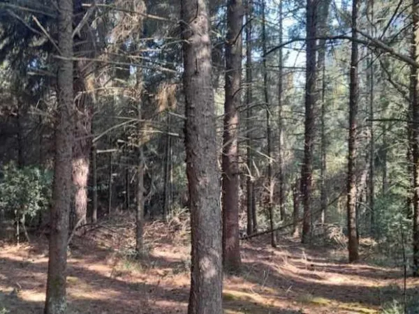 Terrain 30000 m²