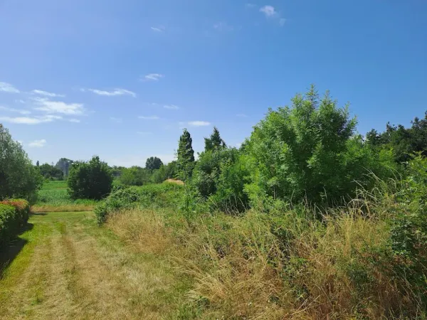 Terrain 295 m²