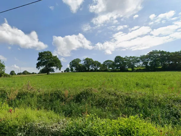 Très grand terrain