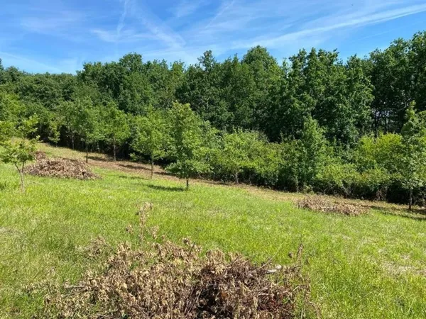 Terrain 1000 m²