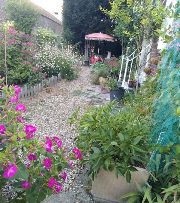 Photo 3