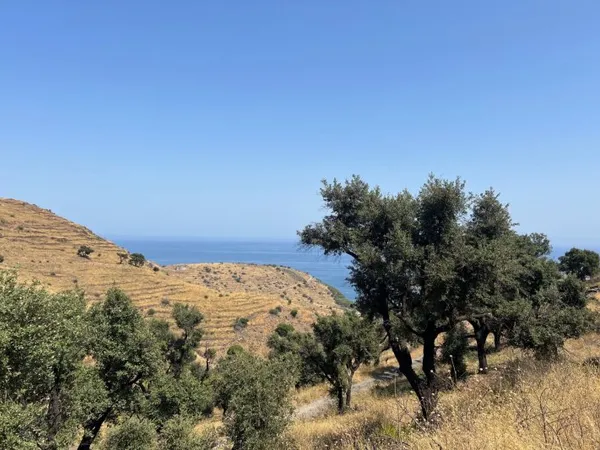 Terrain 31779 m²