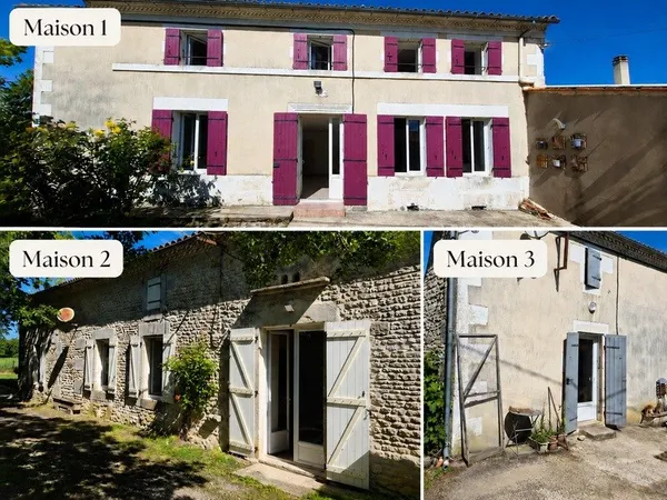 Ensemble immobilier avec 3 maisons sur 5 110 m² - Moragne 17430