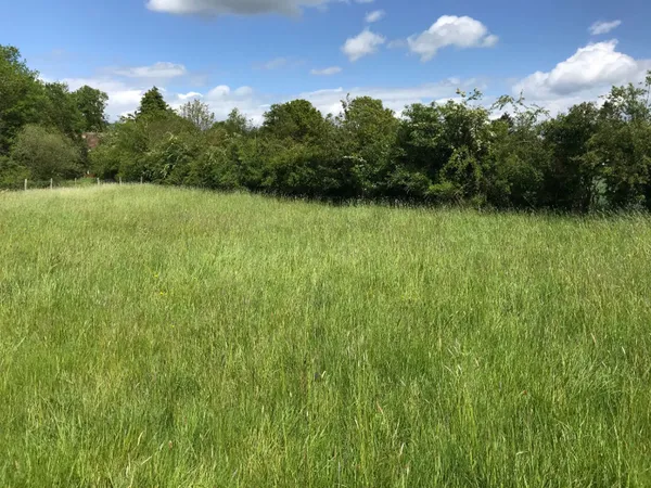 Terrain 367 m²