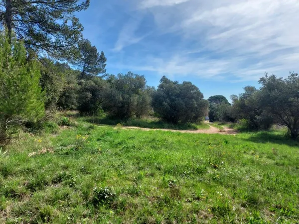 Terrain 1456 m²