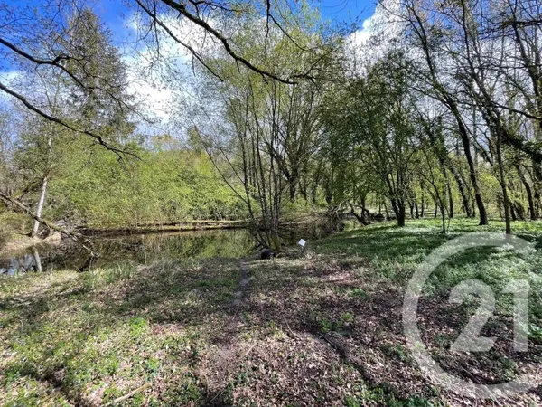 Terrain 6804 m²