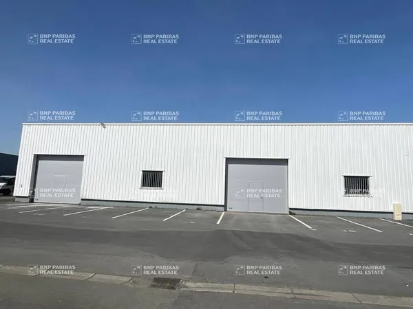 Local d'activité 480 m²