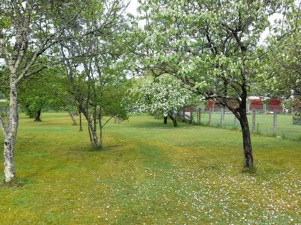 Terrain 1050 m2 COUZEIX