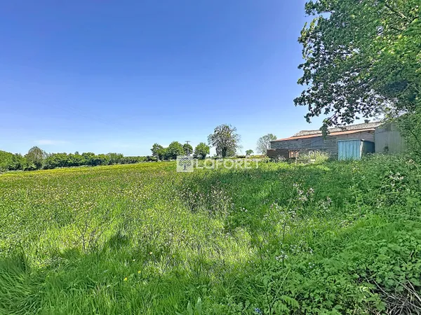 Maison 6 pièces 320 m²
