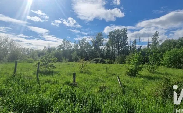 Terrain 3977 m²