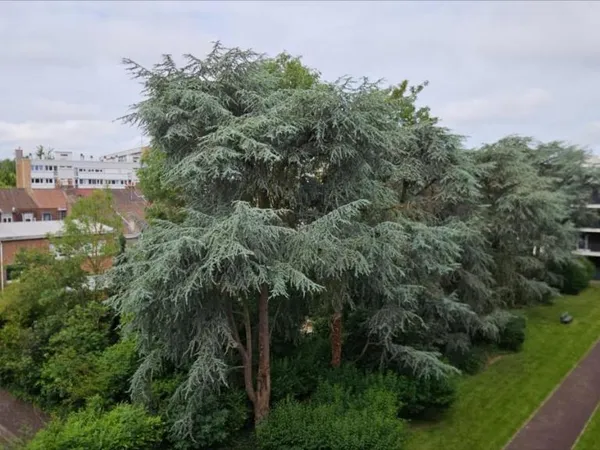 Appartement 6 pièces 164 m²