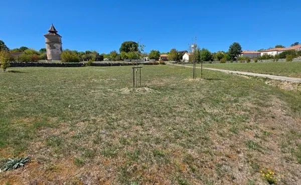 Terrain 2567 m²
