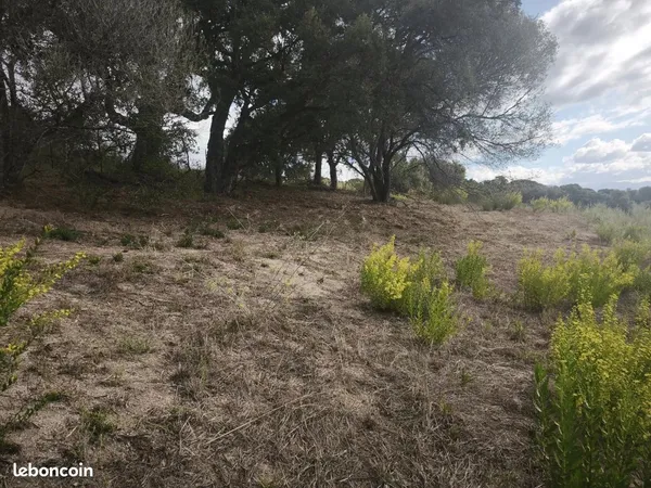 Terrain 1037 m² Ajaccio