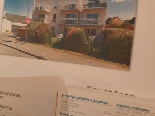 Appartement lumineux au calme
