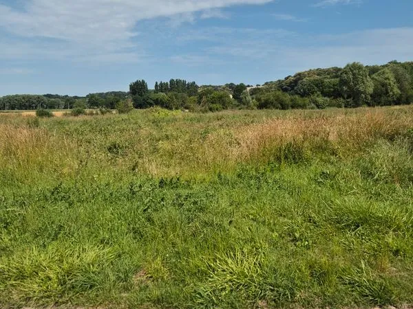 Terrain agricole