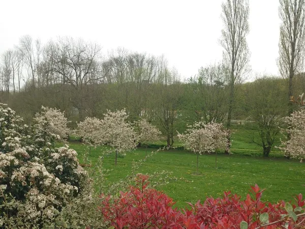 Terrain 940 m²