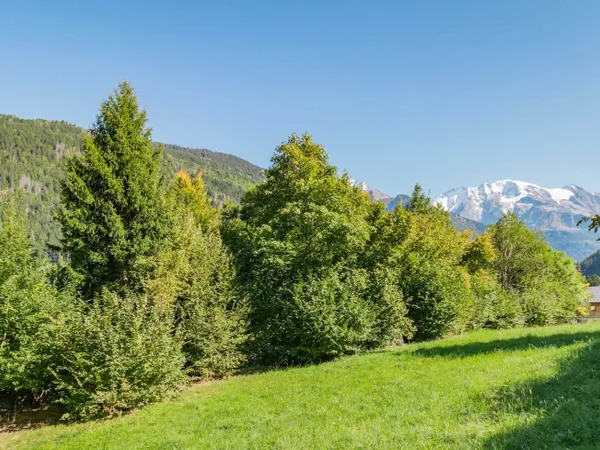 Achat : Terrain Saint-Gervais-les-Bains (74170)