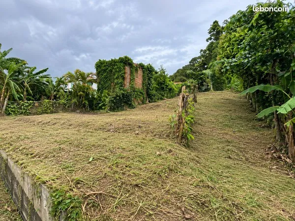 Terrain FDF