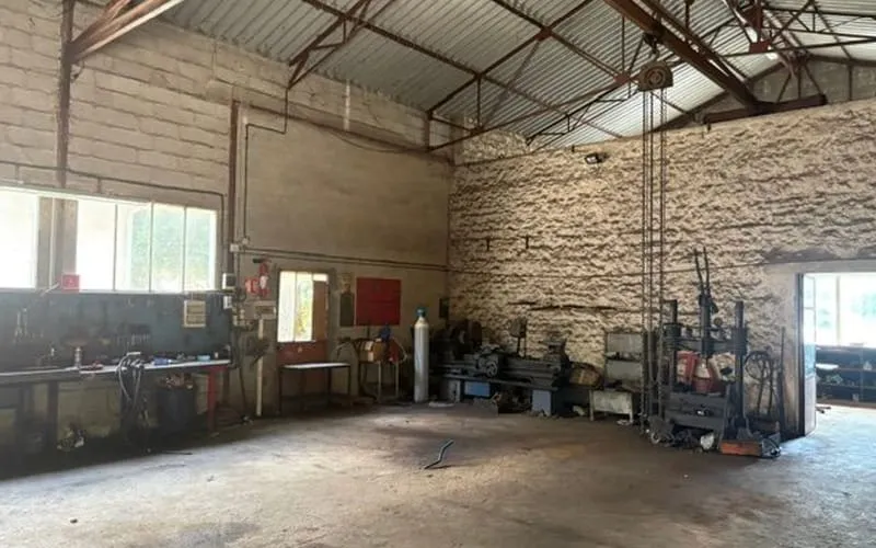 Photo 5