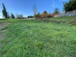 Terrain à bâtir Vente Hauterives  594m² 49500€