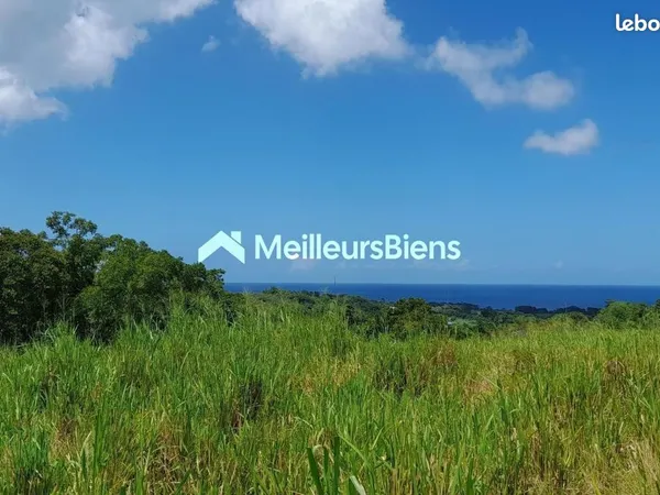 Terrain 1 300 m² Sainte Rose