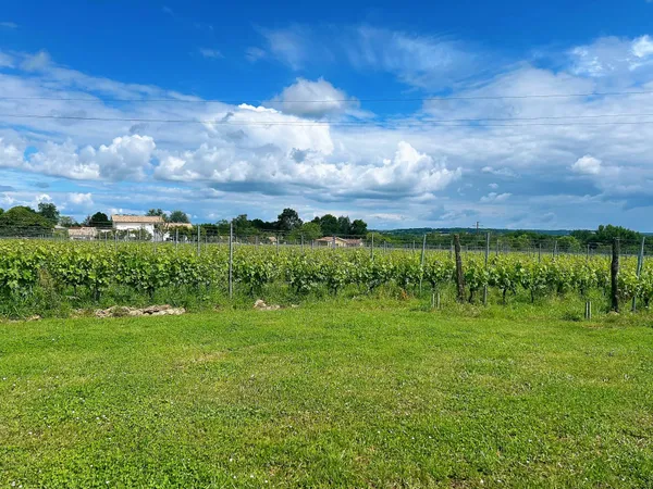 Propriété viticole bio 67 ha à vendre Bordeaux (33)