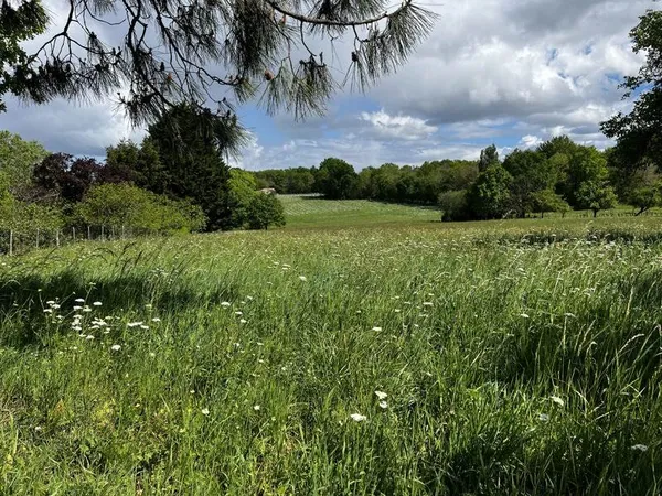 Terrain 1378 m²