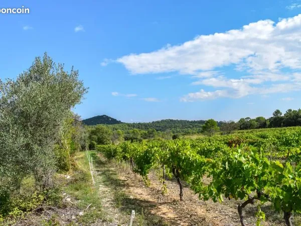 Terrain 550 m² Valflaunes