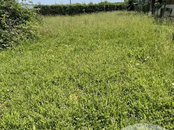 Terrain 298 m²