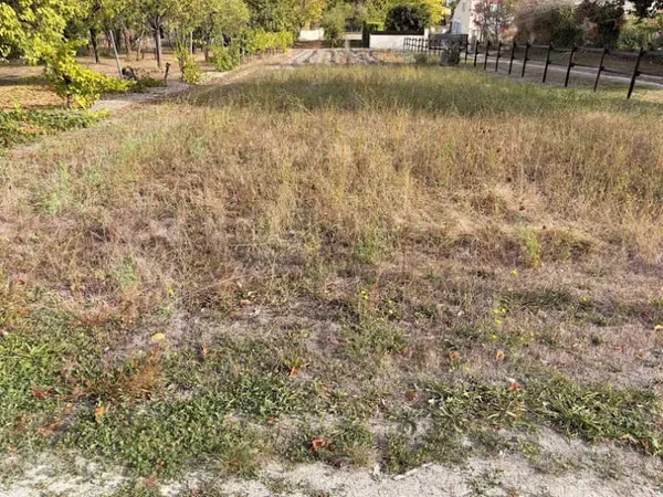 Terrain 627 m²