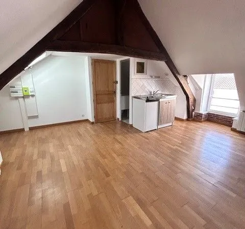 Grand studio en centre-ville de 32m2 entièrement rénové avec kitchenette neuve équipée d'un frigidai