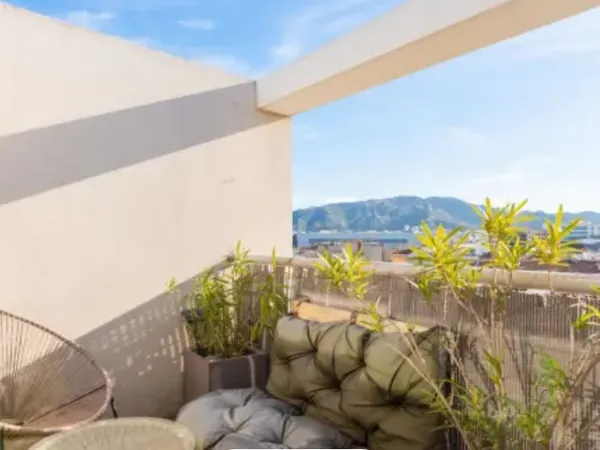 Loue appartement 48m² 2 pièces avec terrasse plein ciel et plein sud
