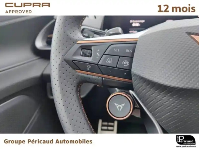Cupra Terramar 1.5 ehybrid 272 ch dsg6 — photo 13