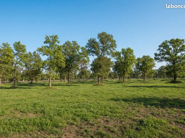 Coupe de bois 4500 m² Frangy