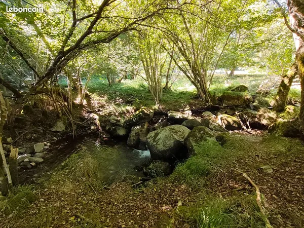 Terrain nature de 5 800 m² avec bois et ruisseau
